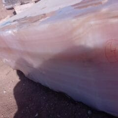 7e74dabd94aa437b75c253992ffa945